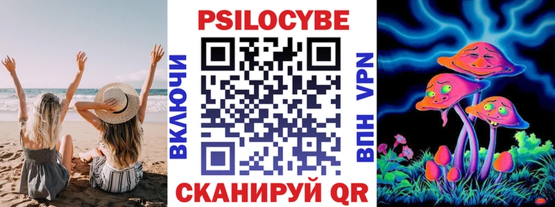 Галлюциногенные грибы мицелий  Новая Ладога 